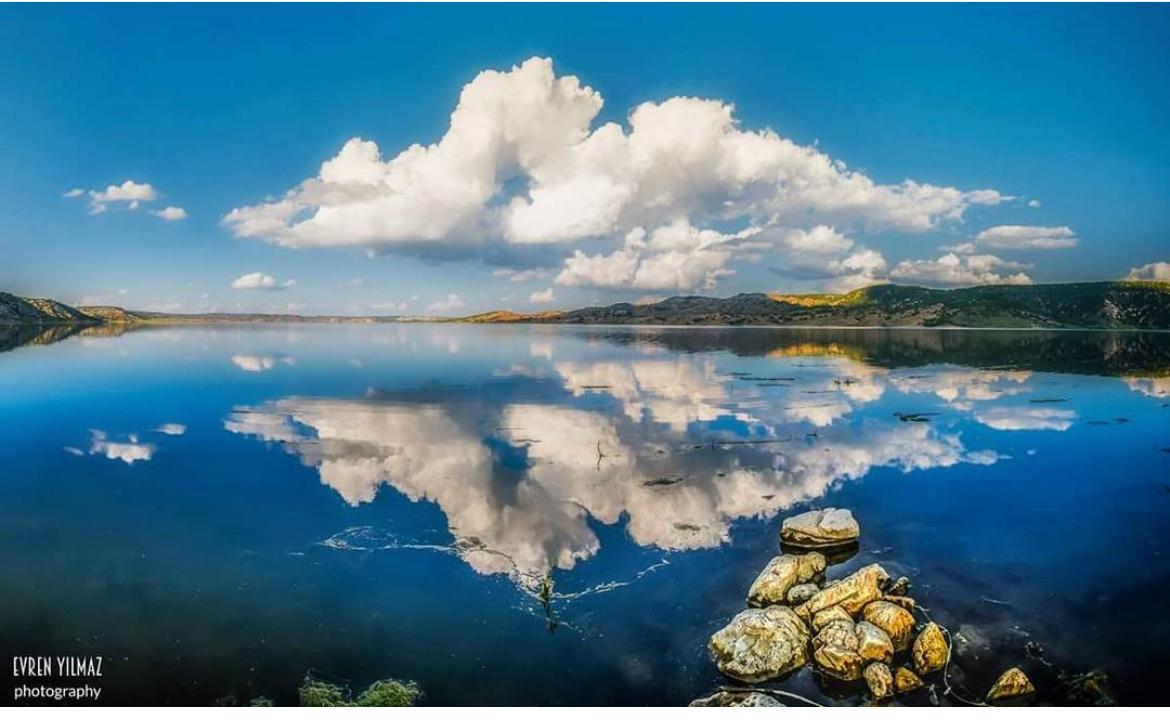 ÖZLEM KOCABAŞ KARAKURT- NALAN