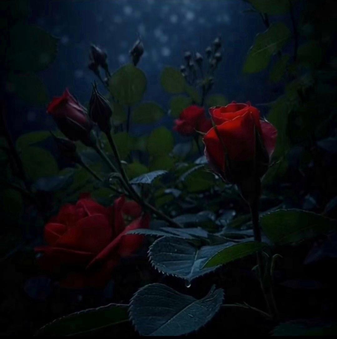 ✨️KORKU ÇAĞI..-İLKNUR ARAL GÜLEMEK